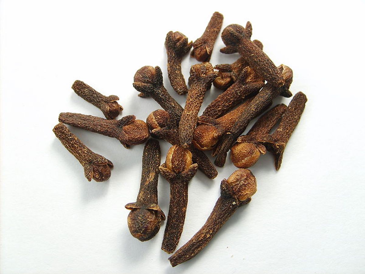 Rüyada Karanfil Görmek