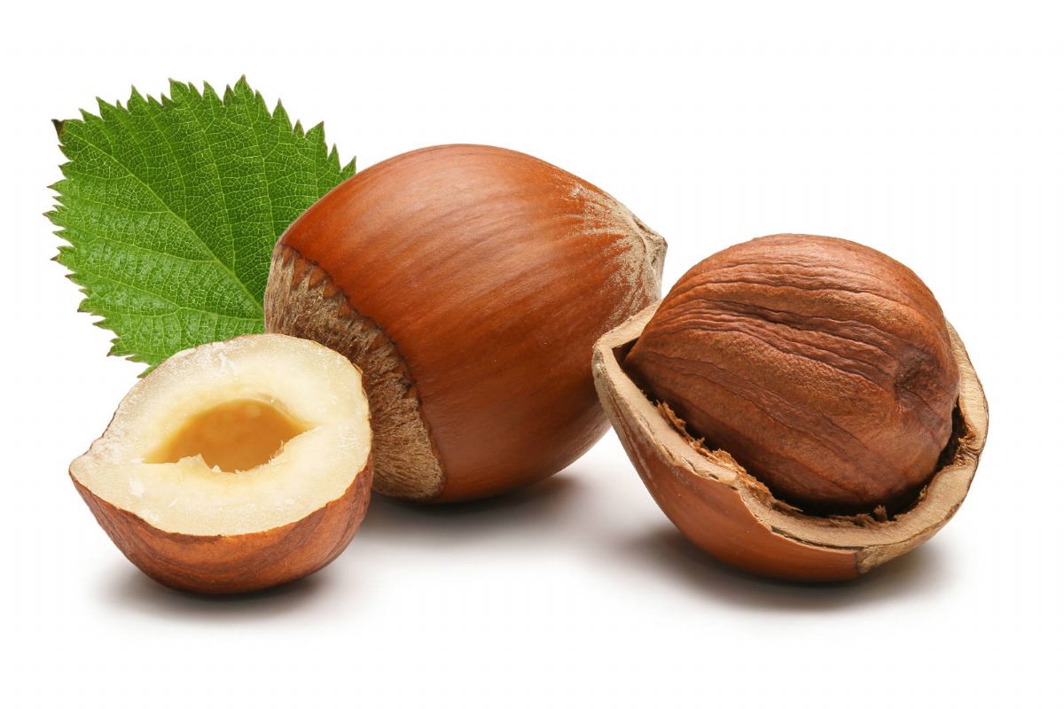 Rüyada Fındık Görmek
