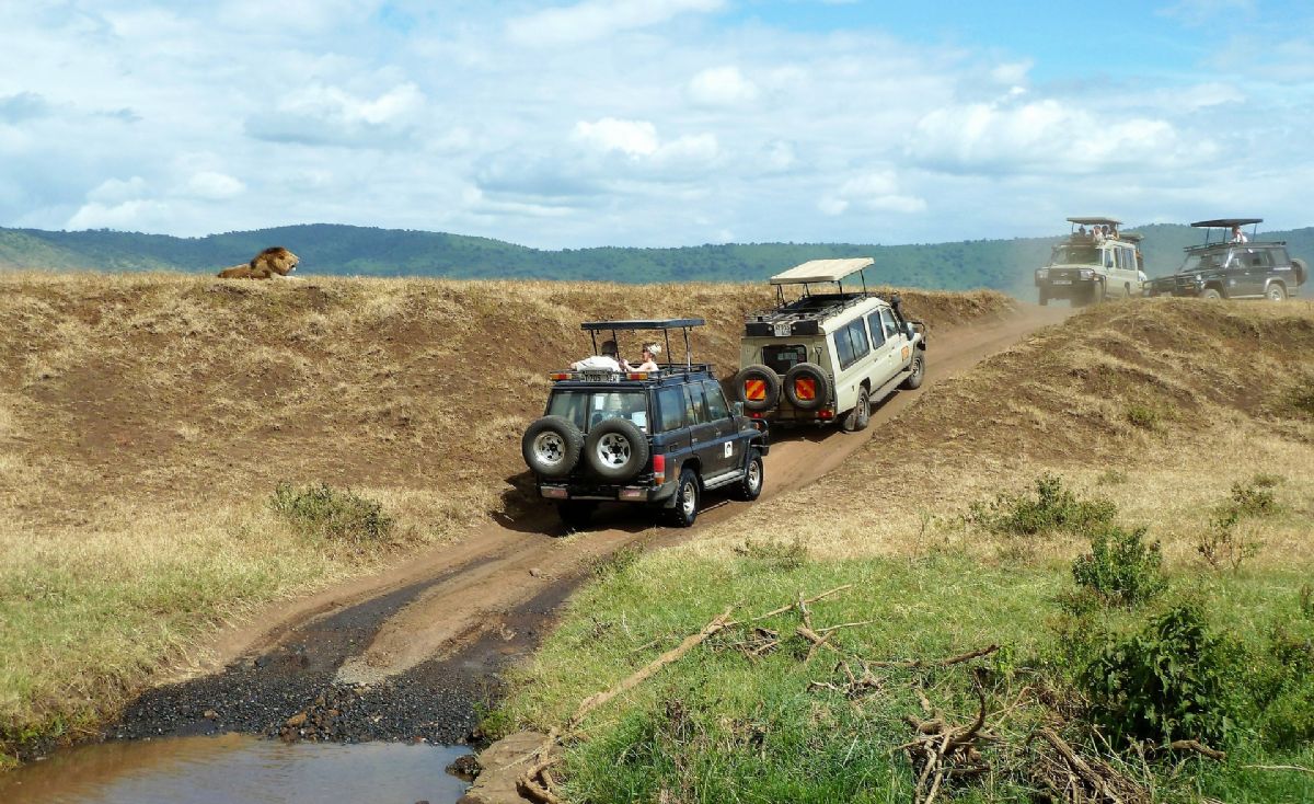 Rüyada Jeep Görmek