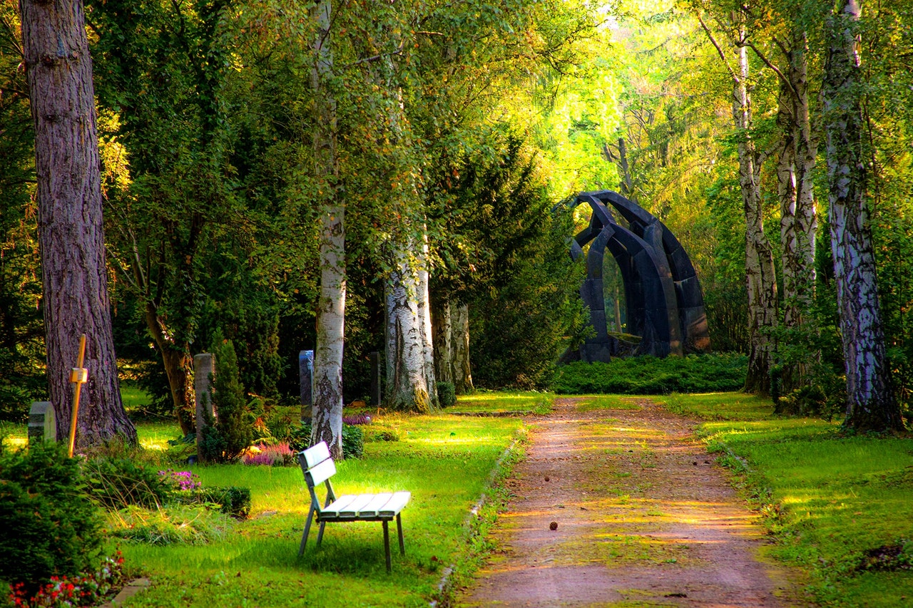 Rüyada Park Görmek