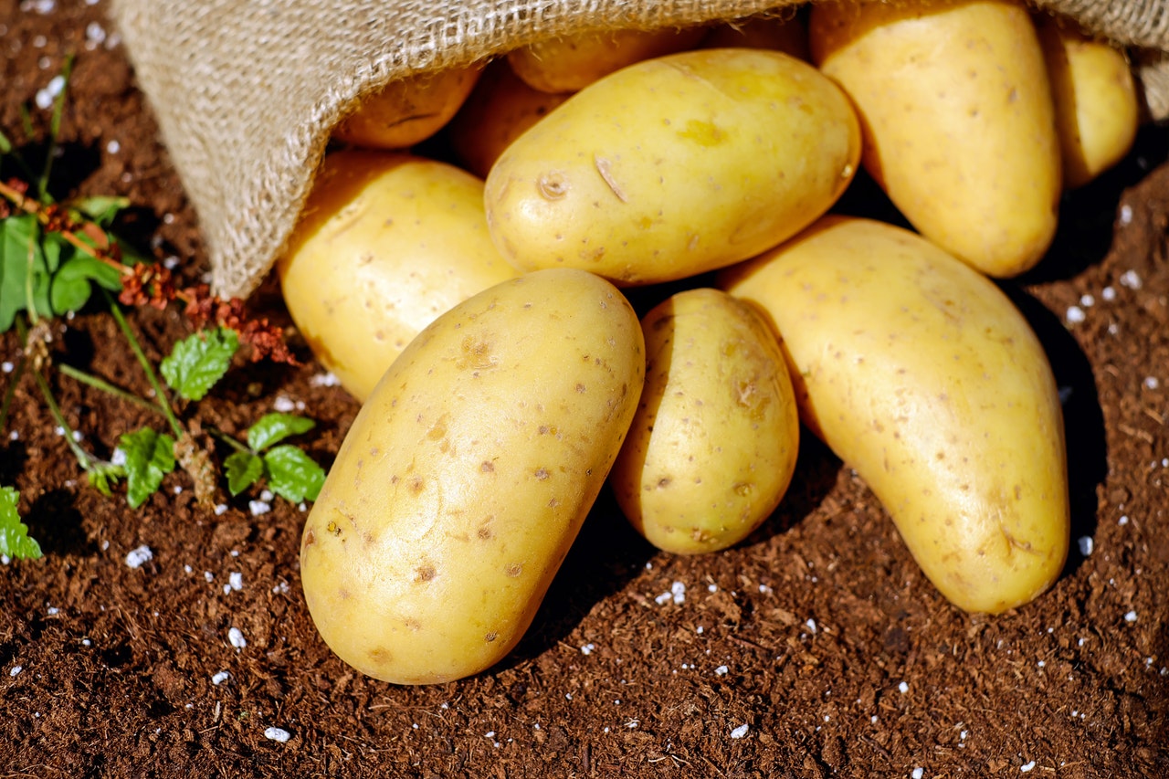 Rüyada Patates Görmek